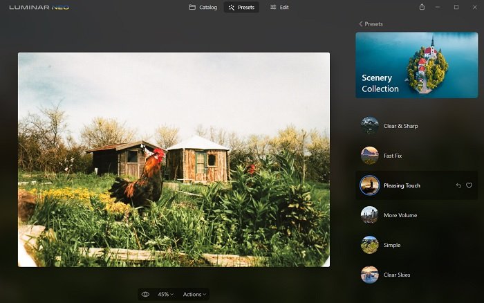 Screenshot of a chicken photo in Luminar Neo