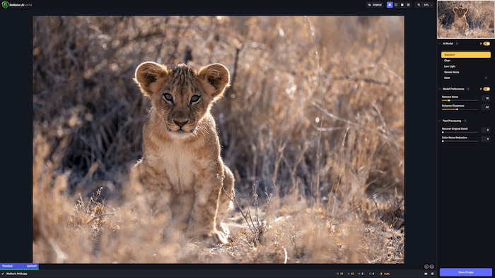 Picture of lion cub with full automatic settings in Topaz DeNoise AI