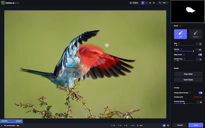 Picture of masking tool in Topaz DeNoise AI