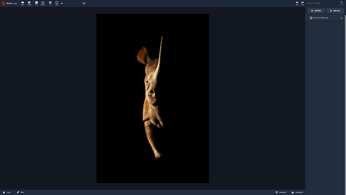 Image of Rhino in Topaz Studio 2 Flexible View