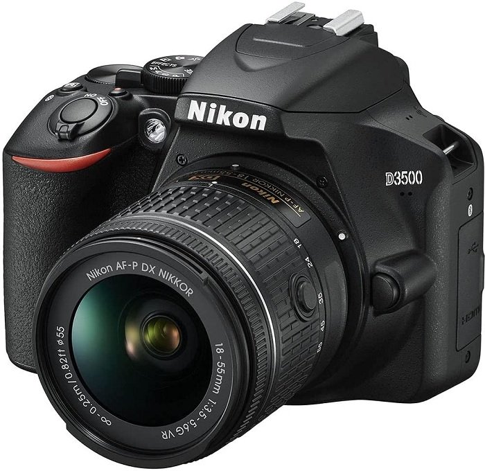 Nikon D3500, a camera under 1000