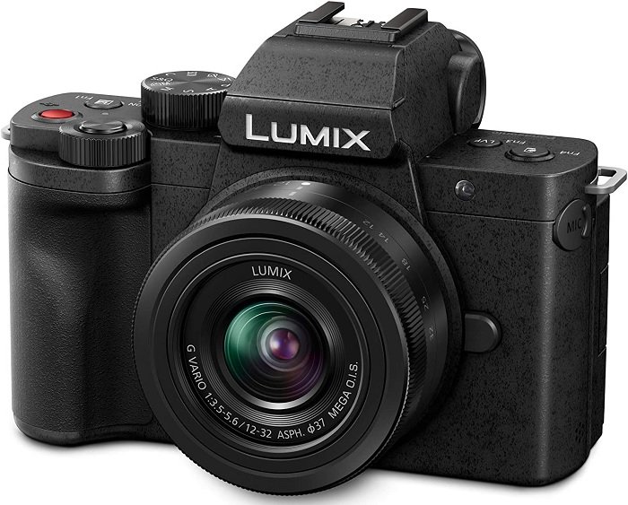 Panasonic Lumix G100, a camera under 1000