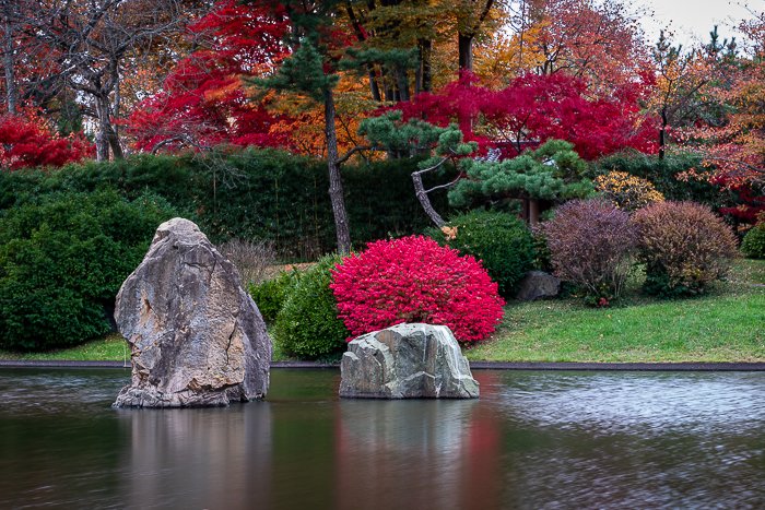 A garden park shot with a 24-105 mm Sony lens