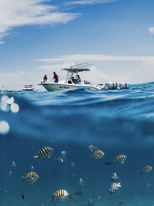 Semi-submerged shot of the ocean with a boat above and fish below