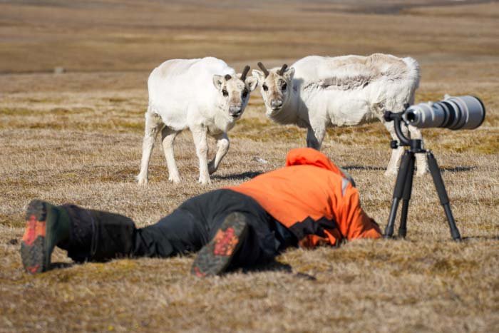 Picture of photographer with reindeer