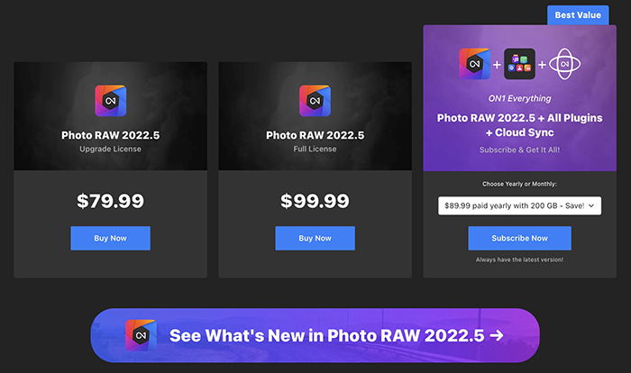 ON1 Photo RAW 2023 Review  Sky Swap and NoNoise AI  - 83