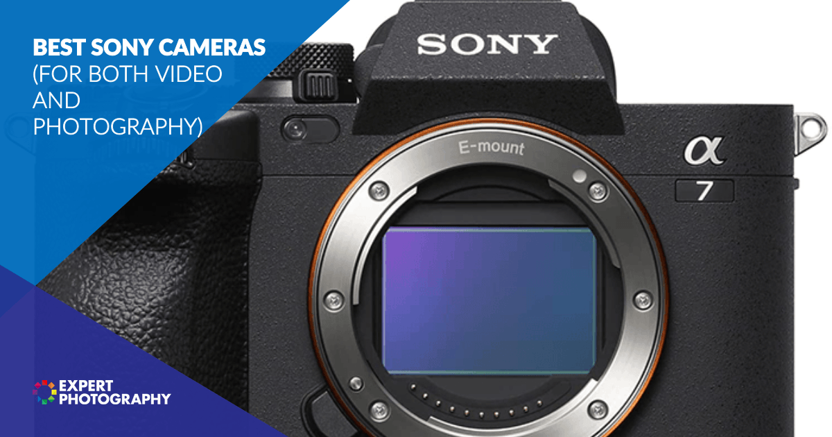 13 Best Sony Cameras in 2024 (For Both Video & Photography)