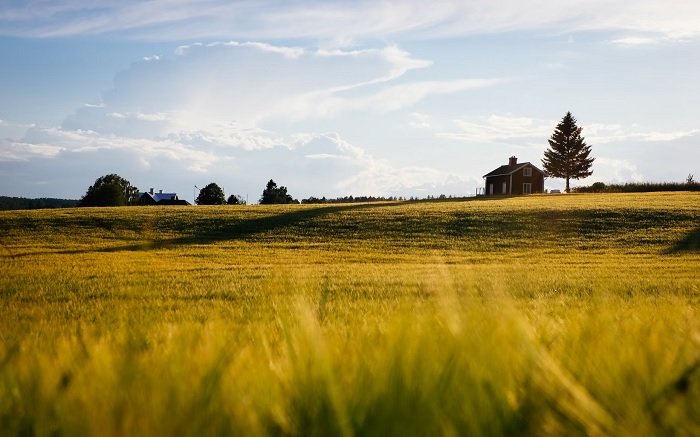 Landscape image of small house on a hill with green fields before it