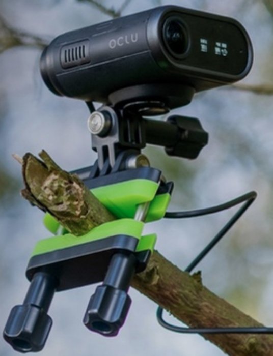 Oclu action camera clamped to a tree