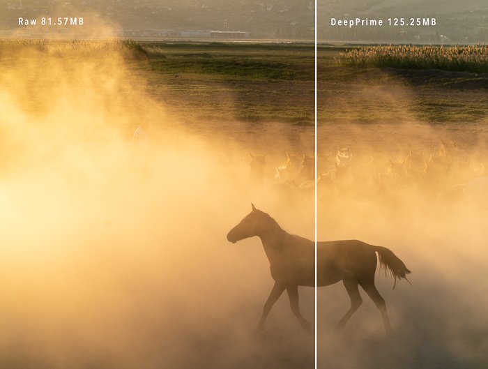 Cappadocia horses Photo by Jenn Mishra file size before and after DxO PureRAW