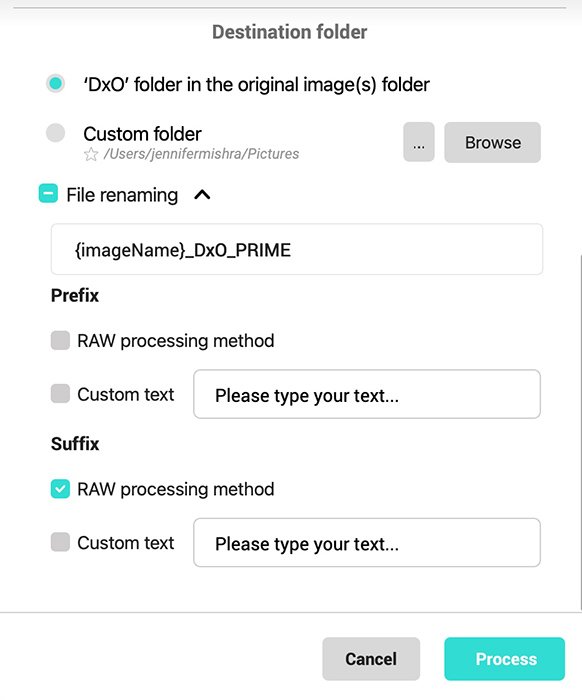 Screenshot DxO PureRAW 2 Raw Processing window saving options