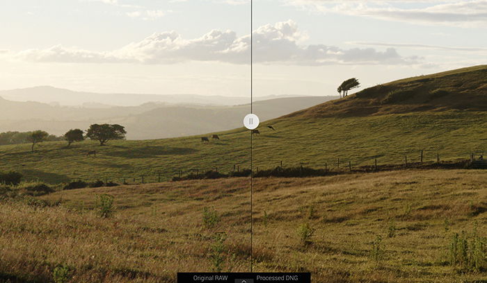 Hillside Photo by Jenn Mishra before and after raw processing full image