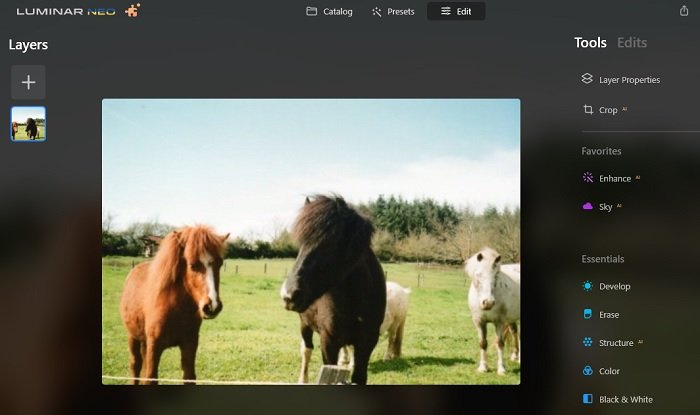 Editing a photo of ponies on Luminar Neo