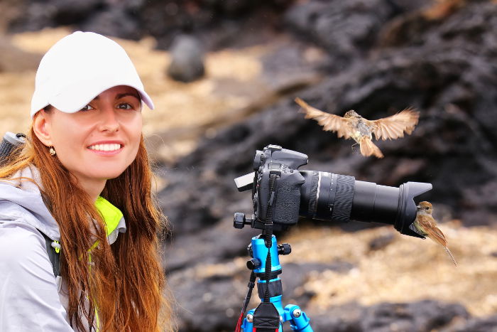 Foto stock de alguns tentilhões sentados no guarda-sol de um fotógrafo