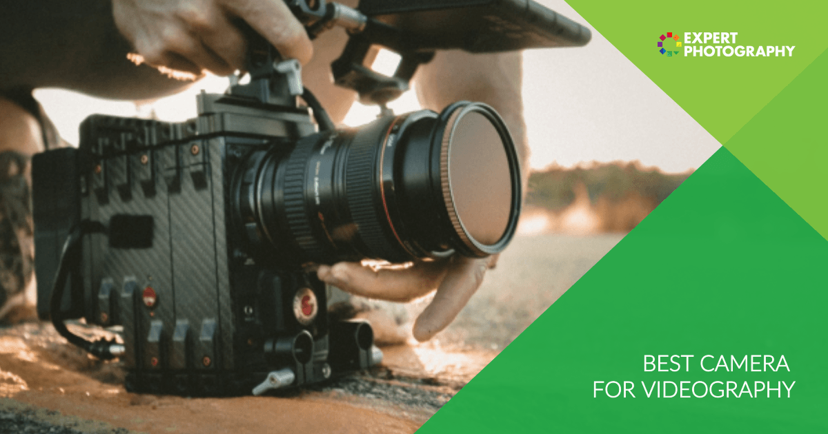17 Best Camera for Videography in 2024
