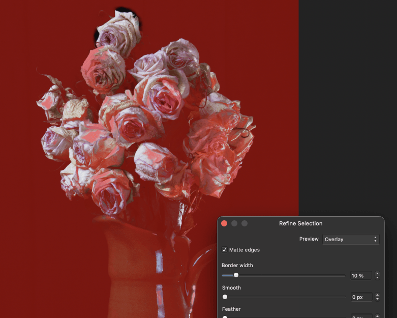 A photograph of flowers being edited with software