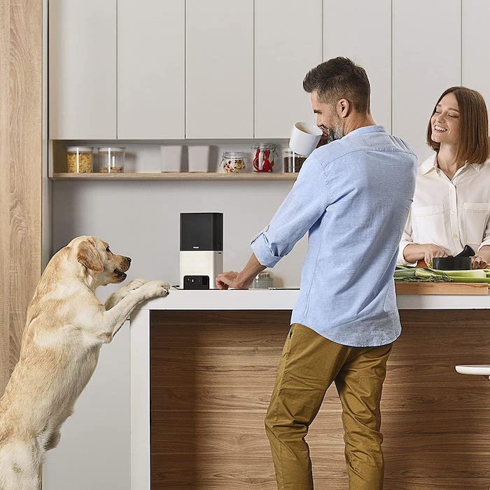 A couple in the kitchen with a pet camera dispenser and their dog