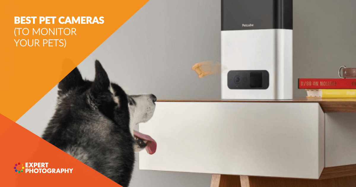eufy 2K Pet Camera with Phone App, New 2023, 360° View, On-Device AI  Tracking, Dog Camera with Treat Dispenser, 2-Way Audio, Doggy Diary, Bark  Alerts