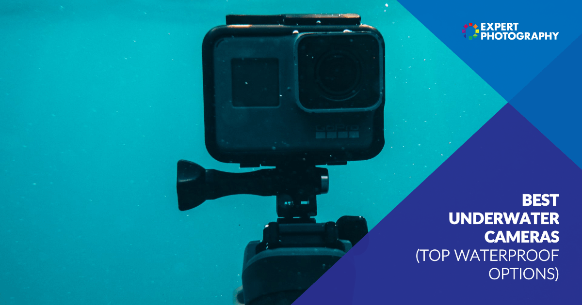 10 Best Underwater Cameras in 2024 (Top Waterproof Options)