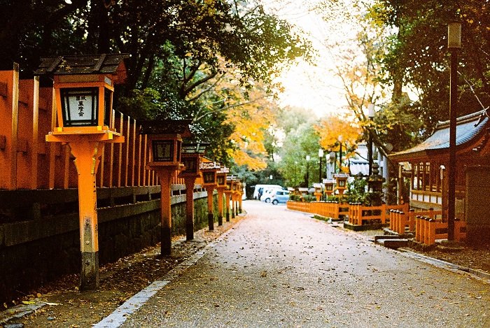 Tree-lined promenade in Asia