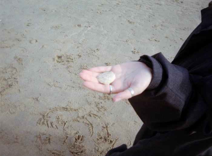 An image of someone holding a shell with their hand out of focus