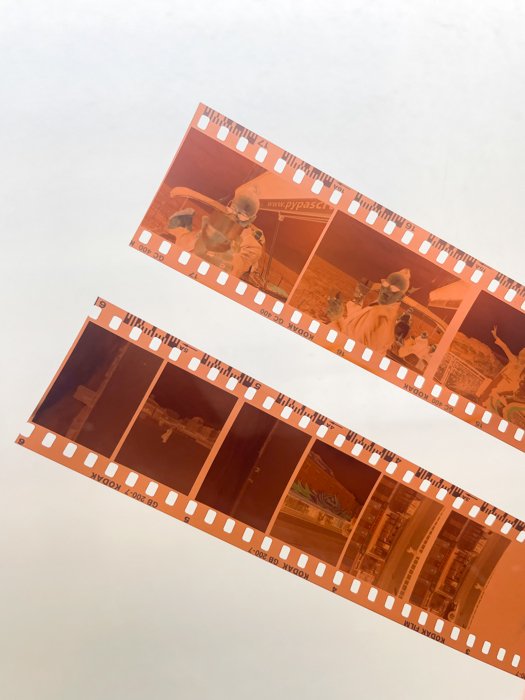 Holding two rolls of negatives up to the light, one is 35mm and the other is half-frame 