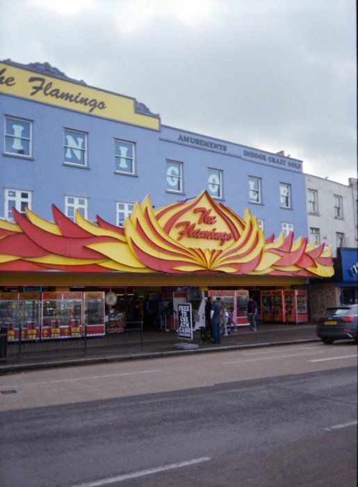 A colourful picture of an arcade called the flamingo 
