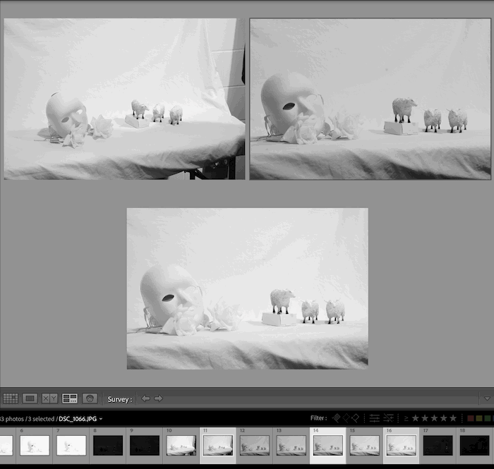 Screenshot of Survey view in Lightroom Classic