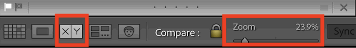 Screenshot of display options toolbar in Adobe Lightroom with white flag and compare view XY button and zoom highlighted
