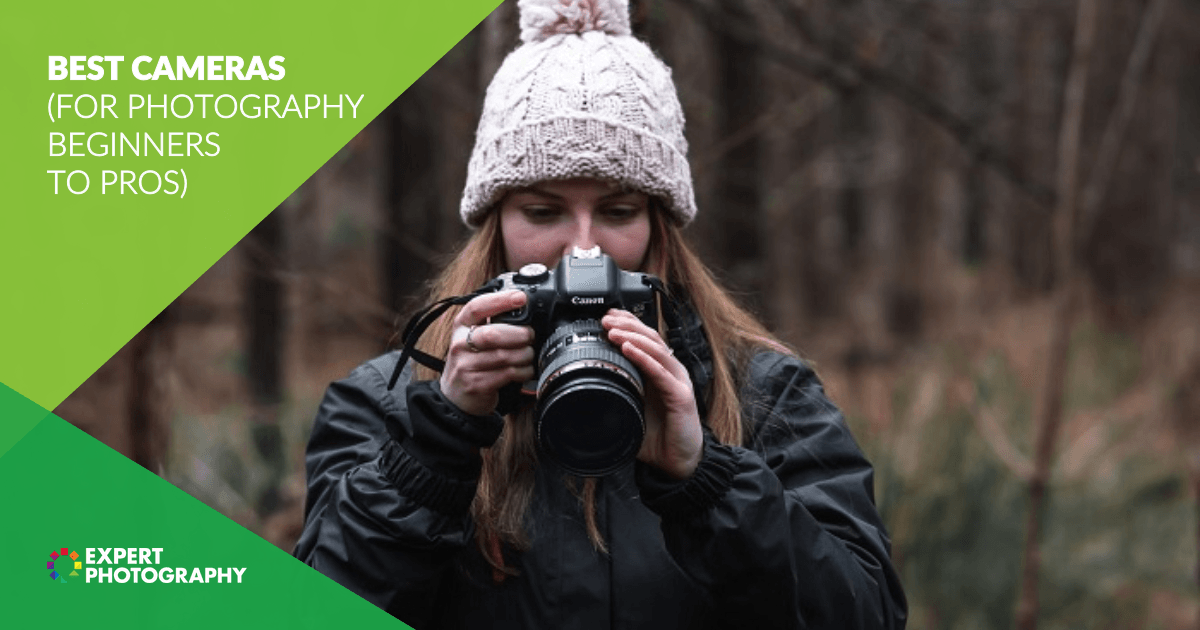 12 Best Cameras in 2024 (For Photography Beginners to Pros)