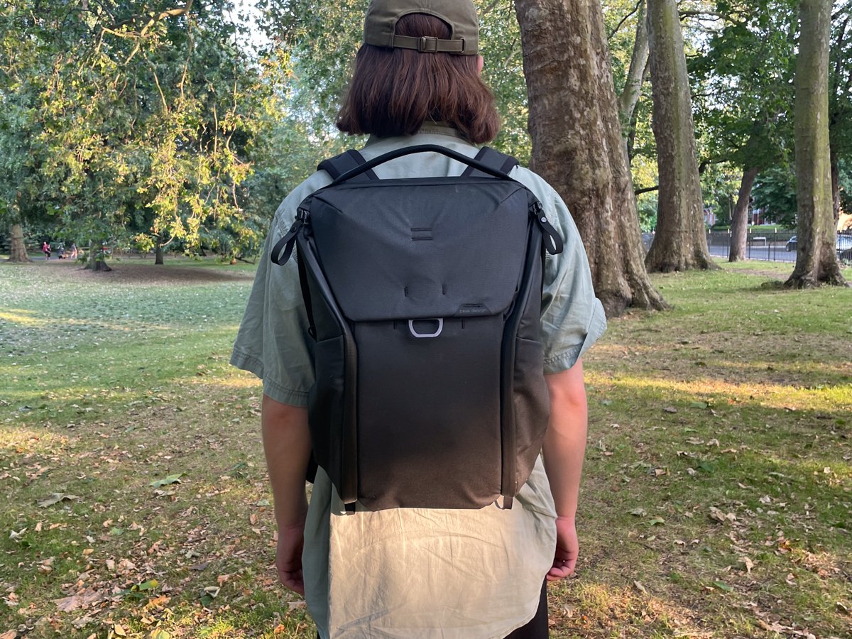 Back view of the Peak Design Everyday Backpack being worn in a park