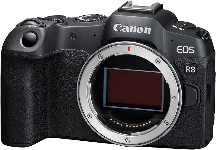 Canon EOS R8 without lens product image