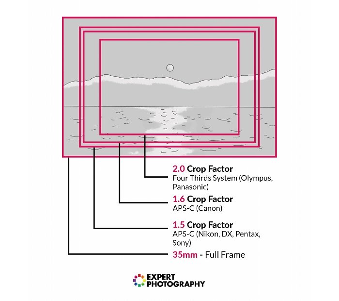 Infographic showing crop factor