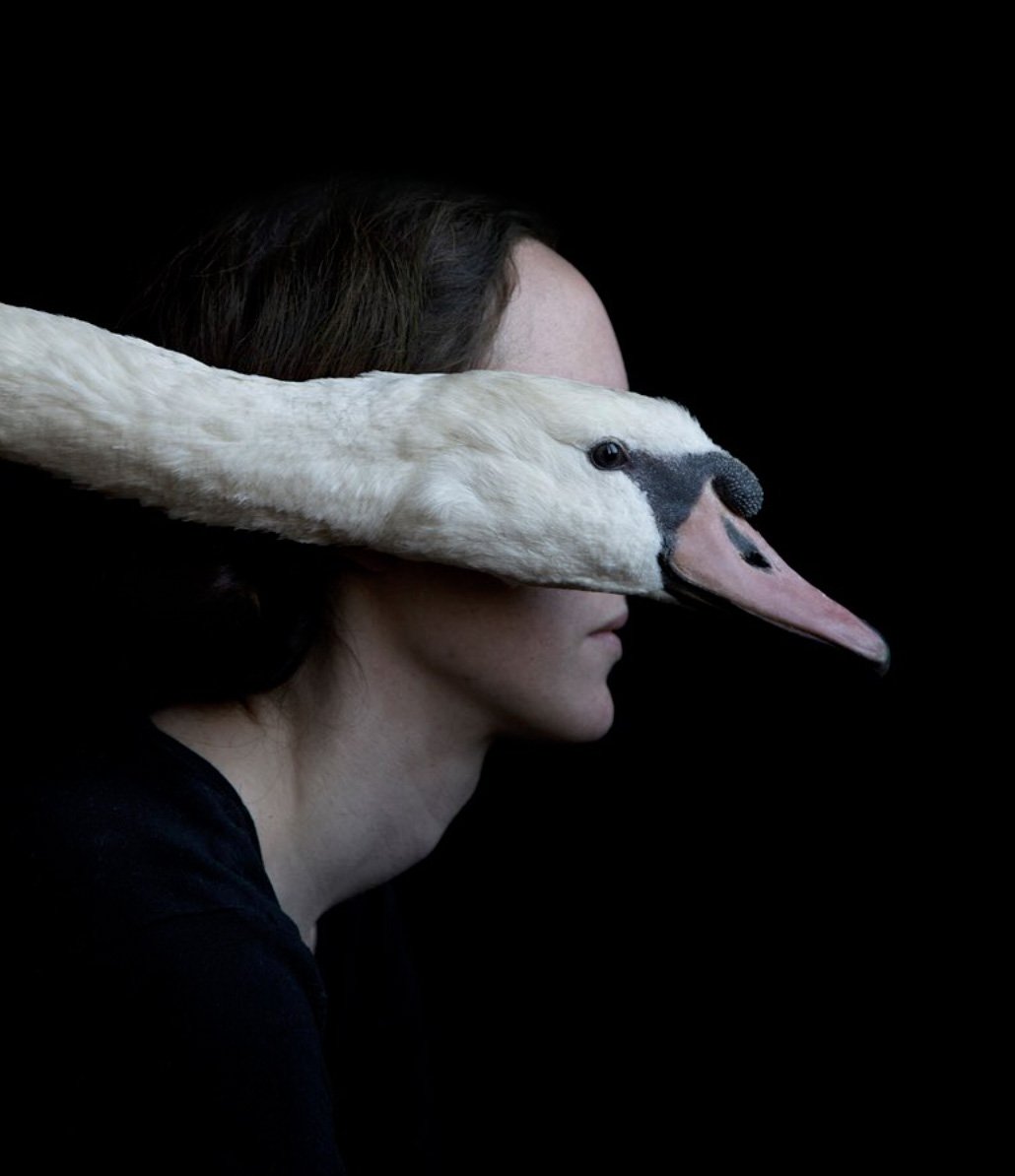 A side portrait of a woman with a goose hiding her face