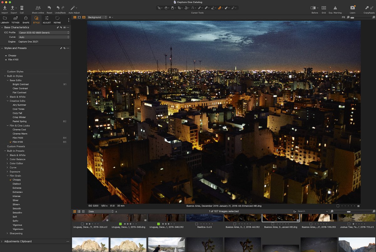 Screenshot of Capture One style section interface