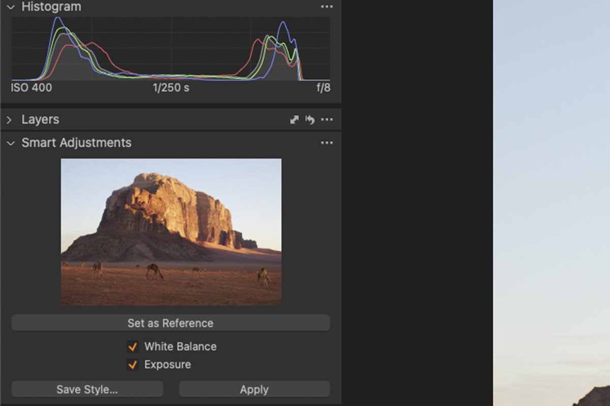 Screenshot of Capture One interface to set a reference image for smart adjustments