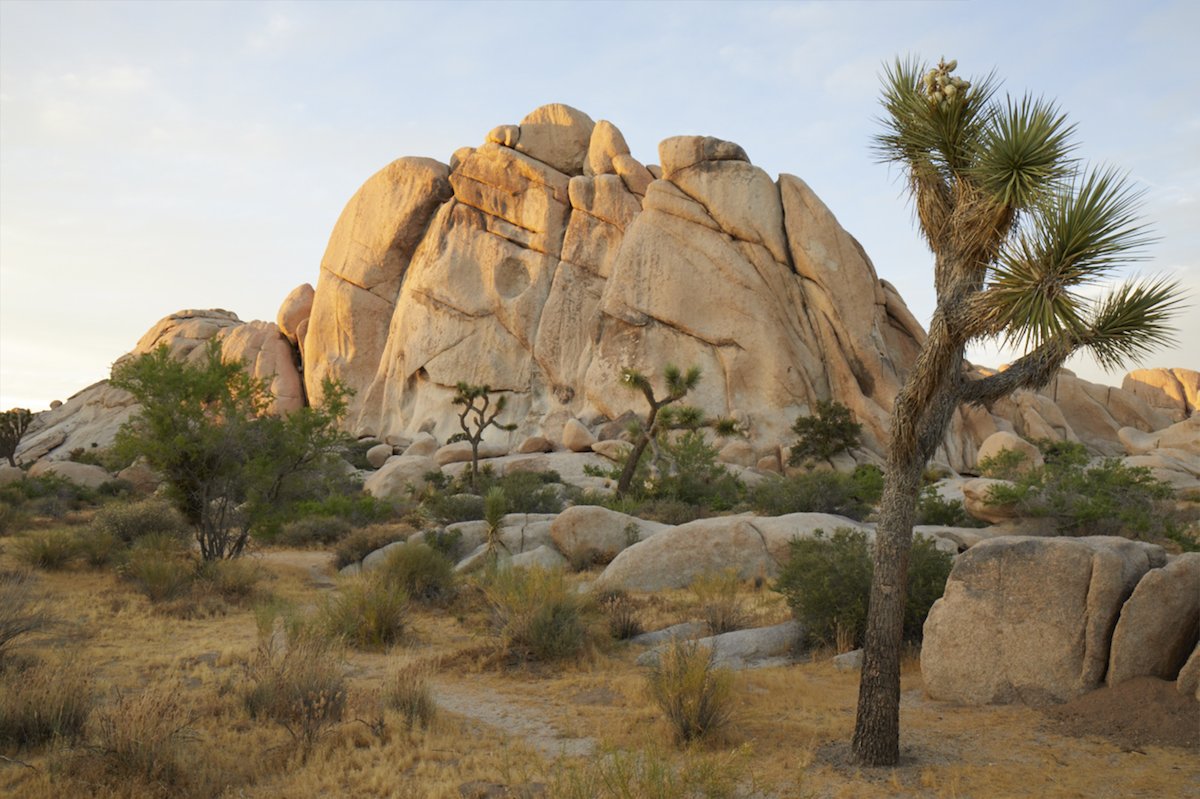 Unedited image of desert rock formations and trees