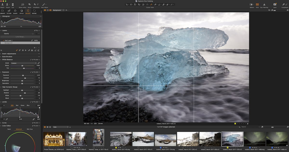 Screenshot of Capture One interface with Grid view of ice floe image