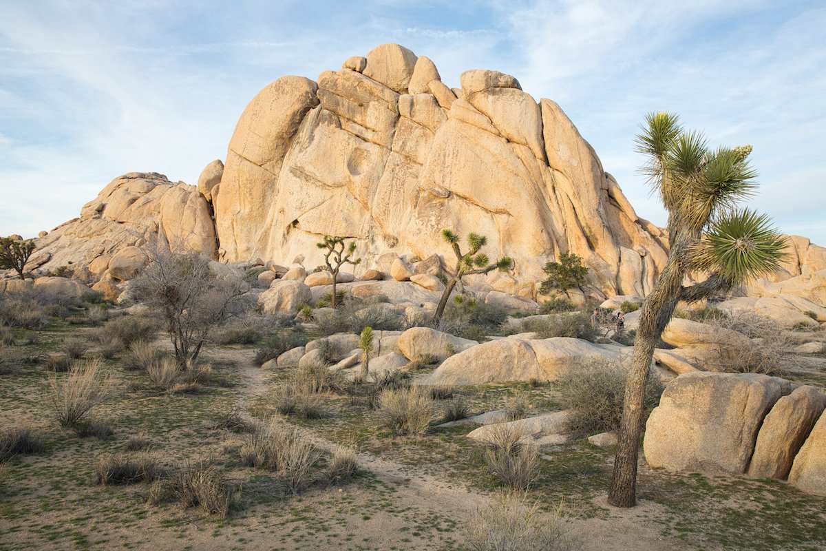 RAW image of desert landscape