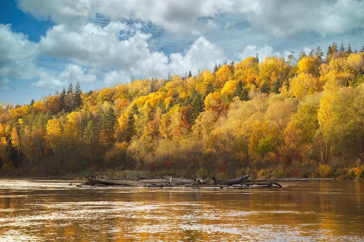 ON1 edited landscape image of river and yellow autumn trees