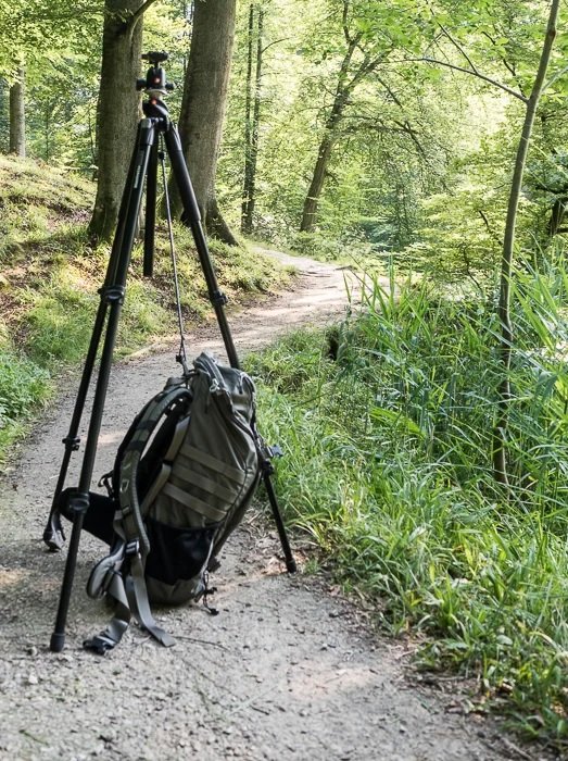 Tripod with a backpack attached in woodland
