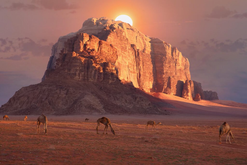 A desert landscape with a sun and camels grazing edited with Cyberlink PhotoDirector 365
