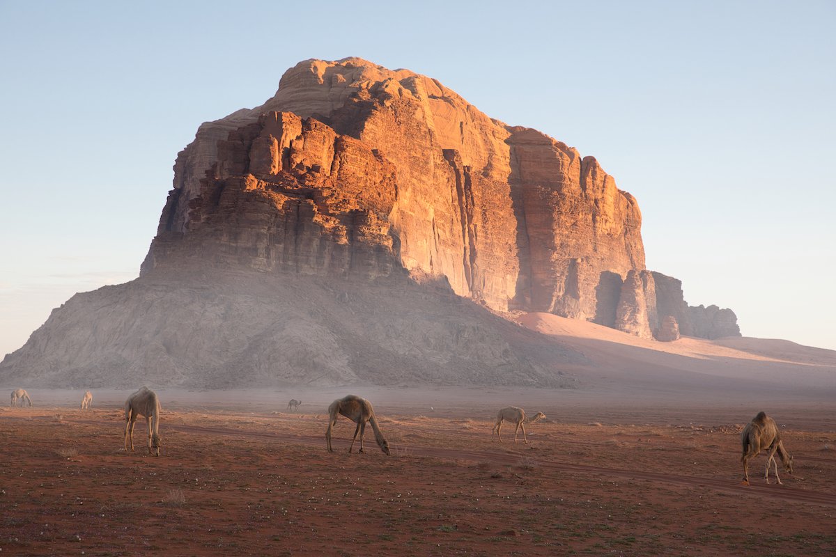 Brightened image of a mountain with camels in the foreground