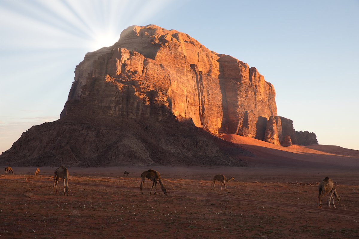 Sun rays added to the image of a mountain with camels in the foreground
