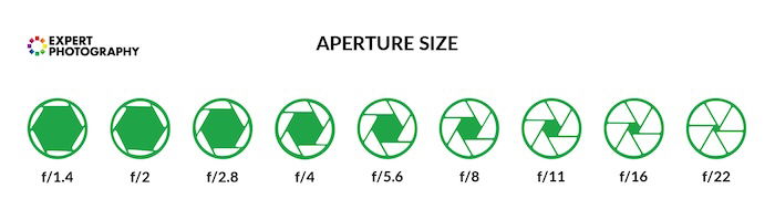 Narrow vs Wide Aperture (Best Use & Depth-Of-Field Examples)