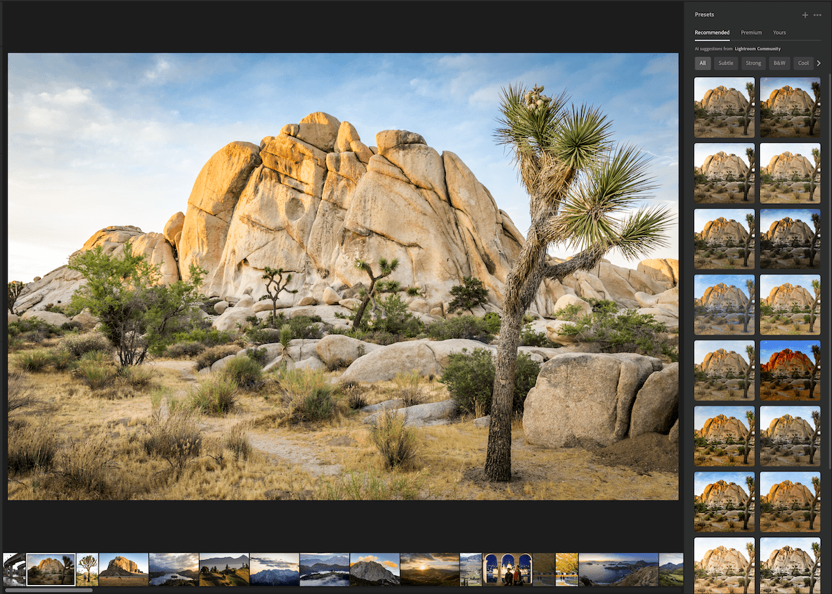 Screenshot of the Adobe Lightroom CC interface with recommended presets for a desert landscape