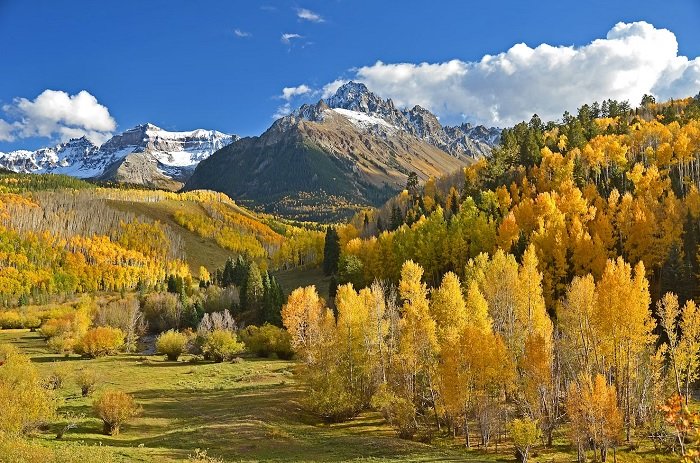 Rocky mountain landscape with rocky peaks and autumnal trees