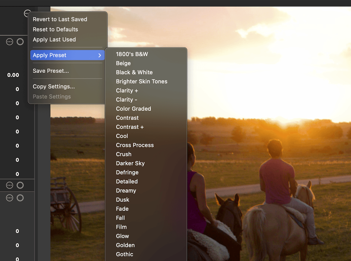 screenshot of ACDSee Photo studio for mac 10 showing a range of their presets