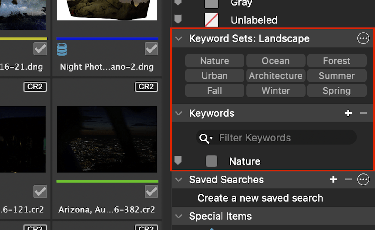 screenshot of ACDSee photo studio for mac 10 highlighting the keyword section
