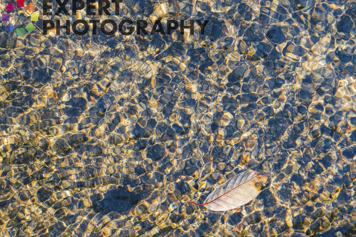 A leaf in clear water with light patterns and an ExpertPhotography watermark